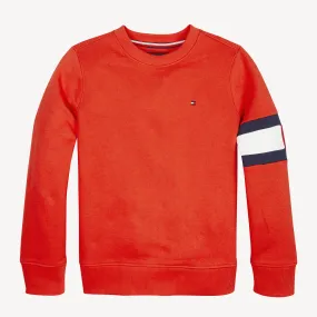 Boys 0-2 Flag Sleeve Sweatshirt | Hoodies | Tommy Hilfiger