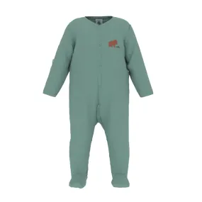 Petit Bateau Baby Boy Velour Front Snap Bear Print Footie